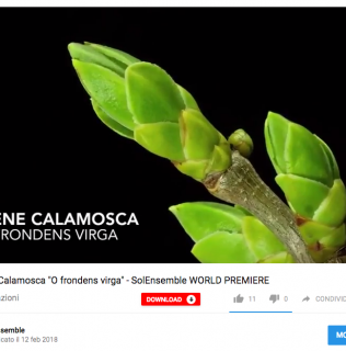 Nuovo video su YouTube: “O frondens Virga” di Maria Irene Calamosca